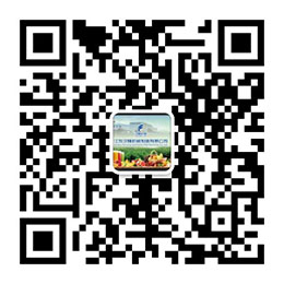 微信二维码 微信二维码